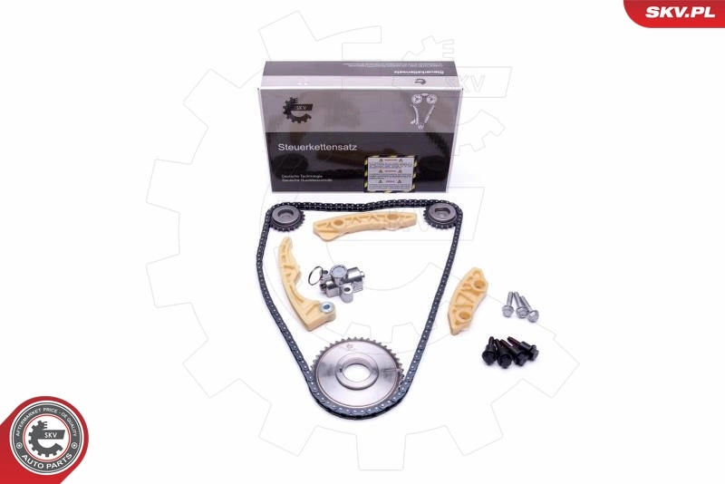 Timing Chain Kit